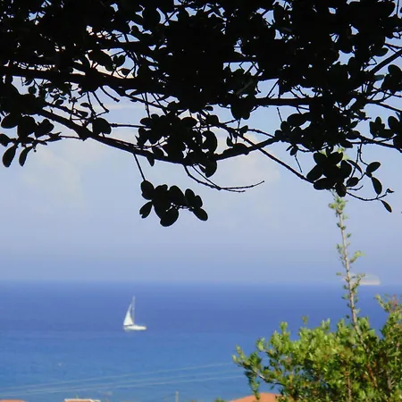 Eliza Guest house