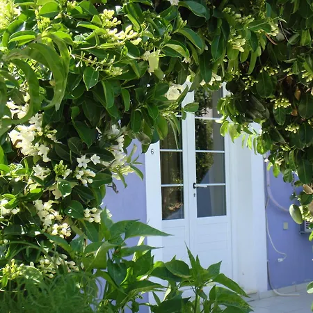 Eliza Guest house 2*