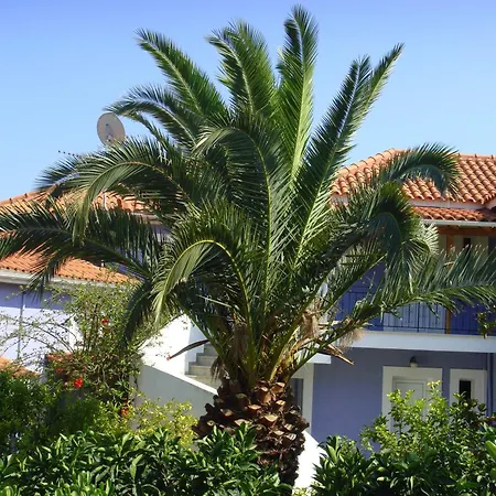 Guest house Eliza 2*